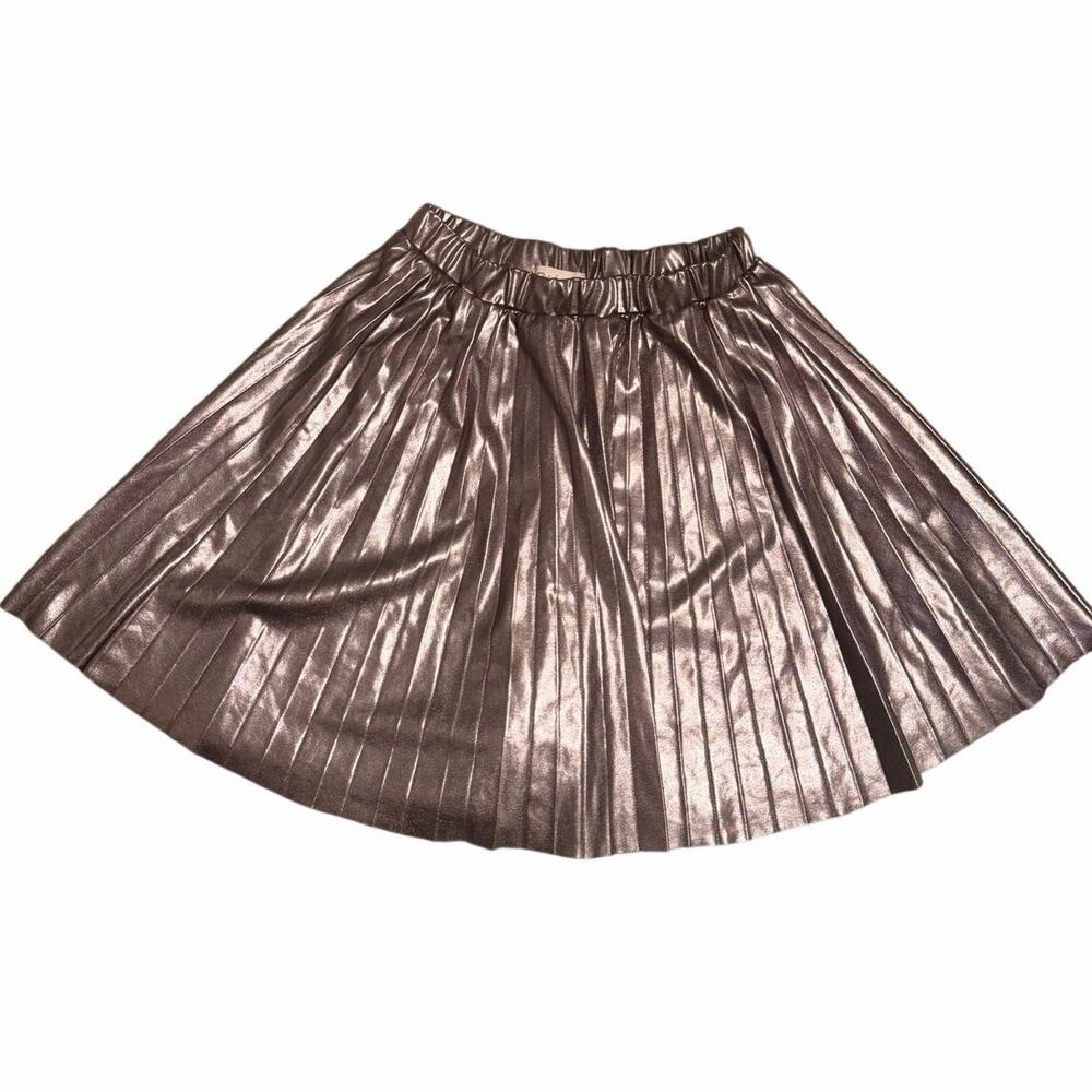 Paisley Lane Metallic Pleated Skirt – Size 8